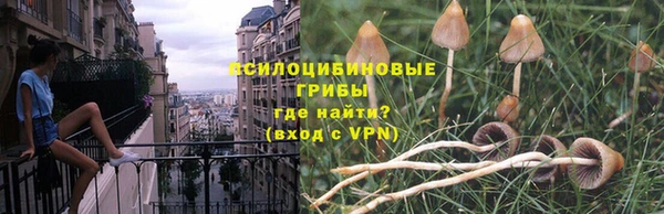герыч Инсар