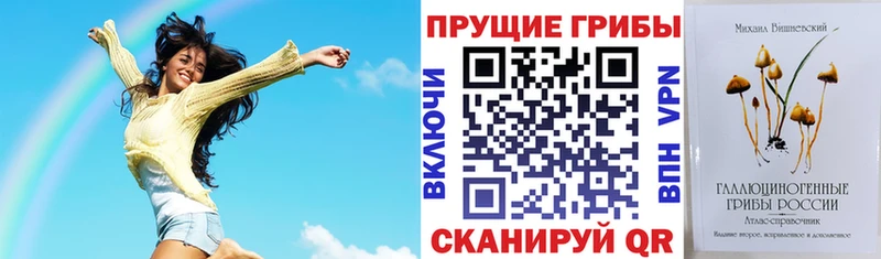 где купить наркоту  Чита  Псилоцибиновые грибы Psilocybine cubensis 