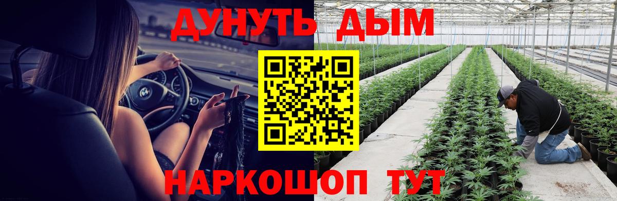 Канабис гибрид  Вход с VPN  Бошки марихуана семена  Чита  Шишки марихуана конопля 